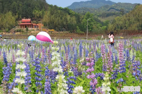 天天躁狠狠躁狠狠躁夜夜躁这是一首描写激情与欲望的歌曲 天天躁狠狠躁狠狠躁夜夜躁这是一首描写激情与欲望的歌曲