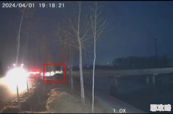 午夜啪啪啪免费视频水男孩