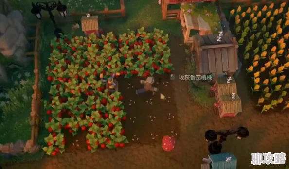 《露玛岛》农作物种子高效获取方法全揭秘,网友亲测:助你轻松打造丰收乐园! 《露玛岛》农作物种子高效获取方法全揭秘,网友亲测:助你轻松打造丰收乐园!