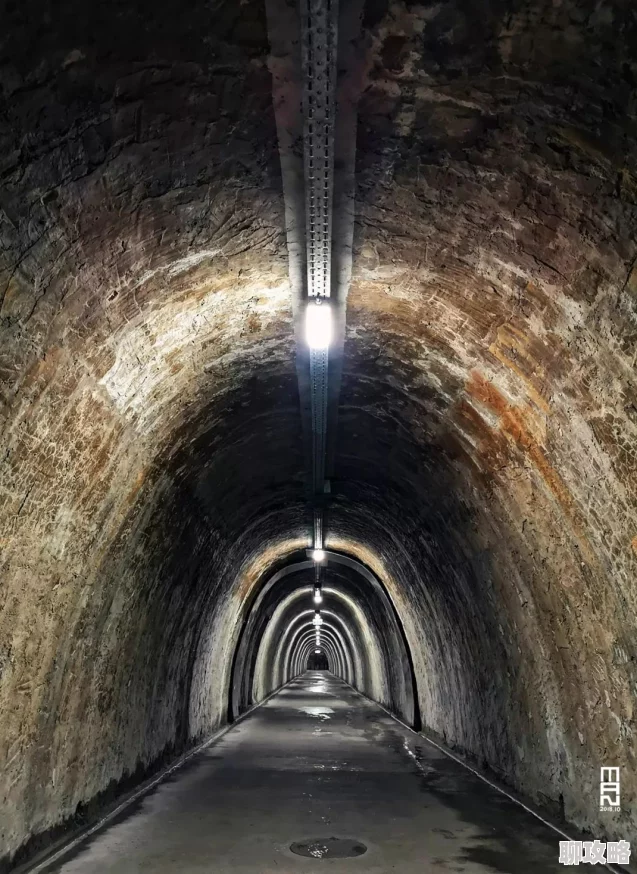 神秘路线入口隐藏在城市角落的秘密通道，探索未知的神秘旅程