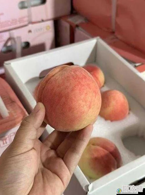 在线蜜桃网络平台上提供的虚拟或电子形式的桃子体验