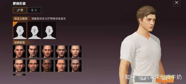 和平精英游戏内捏脸教程详解，轻松打造个性形象！网友热议：如何精准捏出心仪面容？