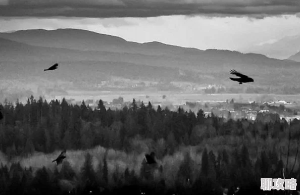 网友热议：爱丽丝的精神审判第7章详细攻略与通关技巧全解析