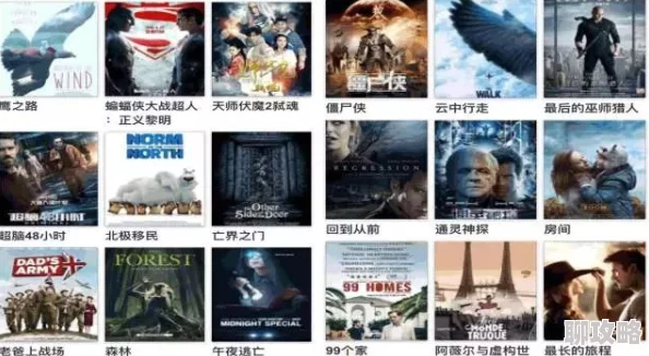 日本国产美国日韩欧美mv近期推出多部高质量新作，备受影迷期待