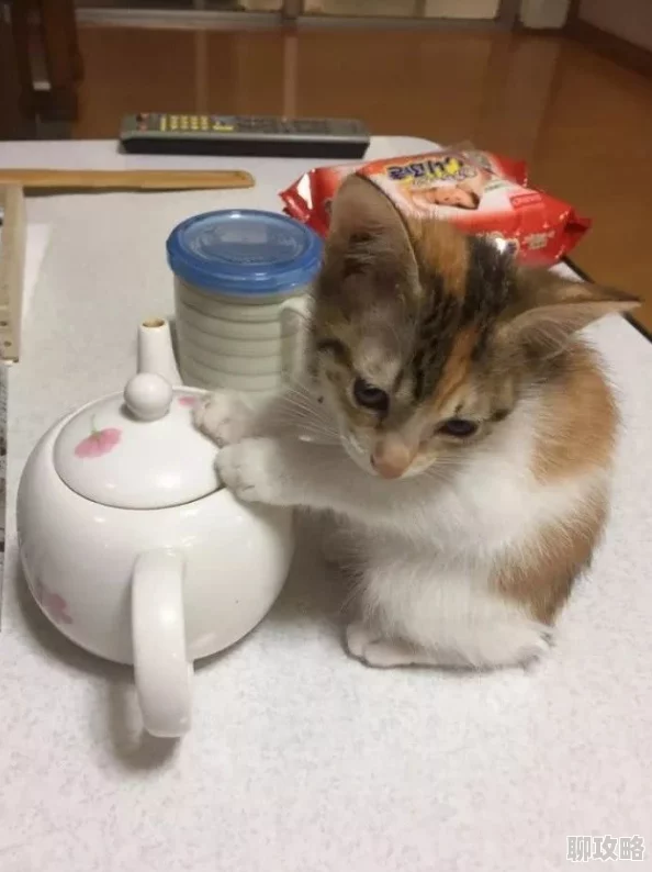 浴室春潮他含她的乳小明在家中意外发现了一只迷路的小猫咪