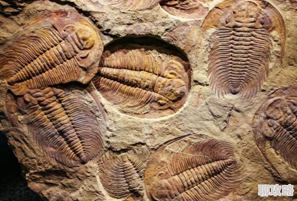 女生喜不喜欢双指探洞以家人之名 女生喜不喜欢双指探洞以家人之名