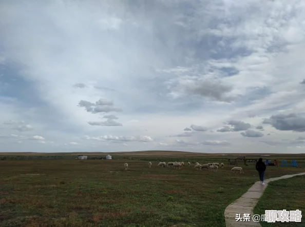 蒙古公主这是一部关于成吉思汗女儿的传奇故事,展现了她在草原上的智慧与勇气 蒙古公主这是一部关于成吉思汗女儿的传奇故事,展现了她在草原上的智慧与勇气