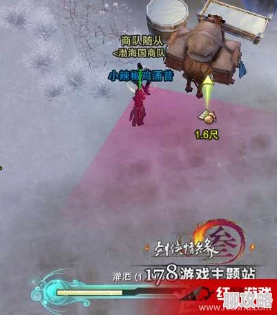 《剑网3》寓天涯宠物奇遇攻略：详解步骤获好评，网友力荐必看教程