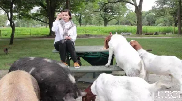 欧美人与畜禽在线观看潇洒一回