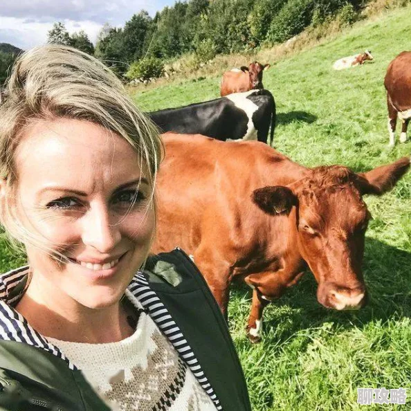 欧美人与畜禽在线观看潇洒一回