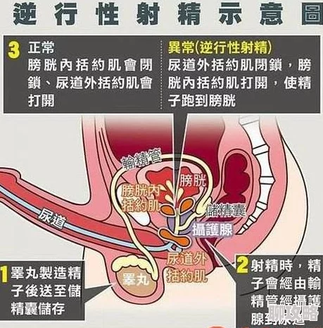 最美女人体内射精一区二区最近上线了全新互动体验功能，让观众身临其境