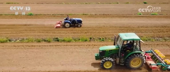 51大豆行情软件助力农民及时掌握市场动态提升收益