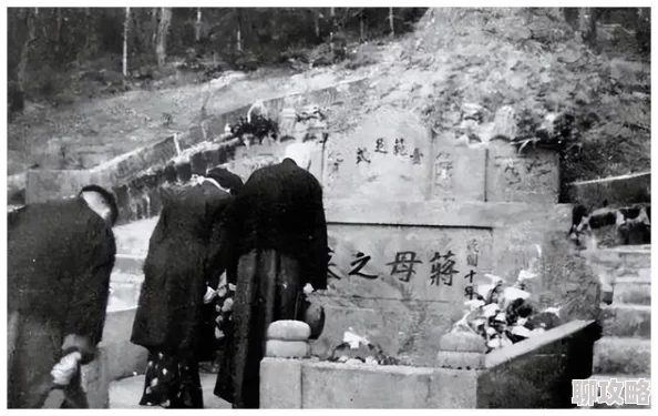 流亡兄弟祝福你们早日重返故里与家人团聚 流亡兄弟祝福你们早日重返故里与家人团聚