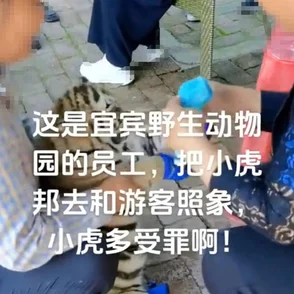 女孩胶带绑住手脚封住嘴巴这可能是恶作剧或犯罪行为的迹象 女孩胶带绑住手脚封住嘴巴这可能是恶作剧或犯罪行为的迹象