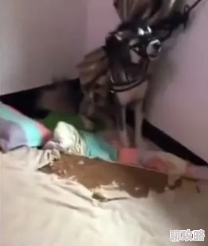 女孩胶带绑住手脚封住嘴巴这可能是恶作剧或犯罪行为的迹象 女孩胶带绑住手脚封住嘴巴这可能是恶作剧或犯罪行为的迹象