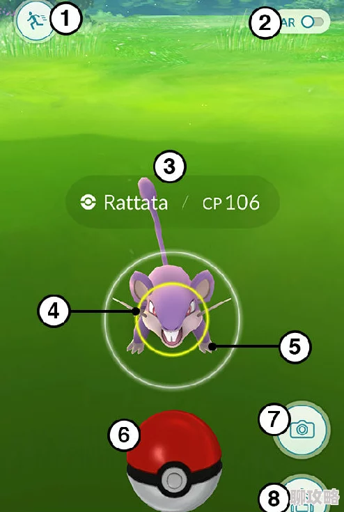 2024口袋妖怪GO高效升级秘籍：最新技巧与快速进阶指南