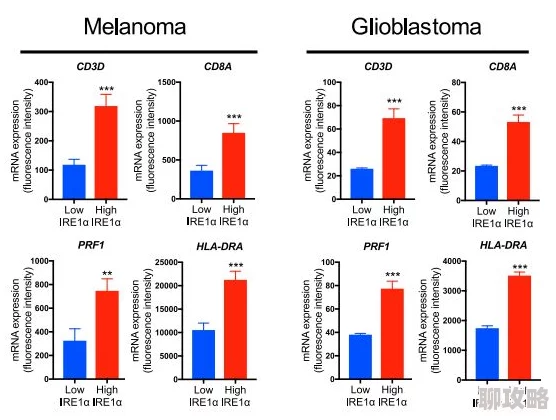 gogortco人体科学研究取得新突破发现新的细胞再生机制