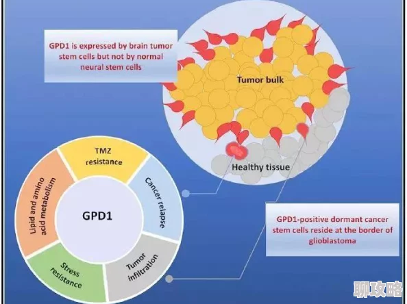 gogortco人体科学研究取得新突破发现新的细胞再生机制