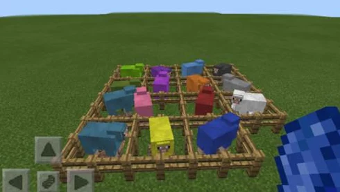 我的世界：2024年最新羊毛染色技巧，轻松给羊换上炫酷色彩教程