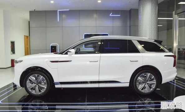 国产suv精品一区二区5能召回前世的布米叔叔 国产suv精品一区二区5能召回前世的布米叔叔