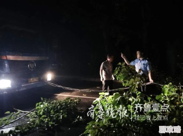 午夜男人视频深夜观看的男性向影视作品，内容丰富多样，有剧情片、动作片等