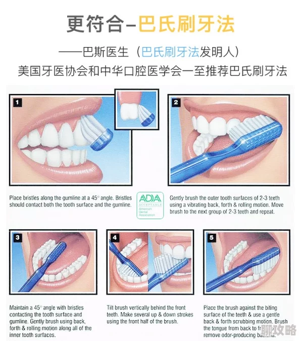 用电动牙刷自w到最高c研究显示电动牙刷能有效减少牙菌斑和牙龈炎风险