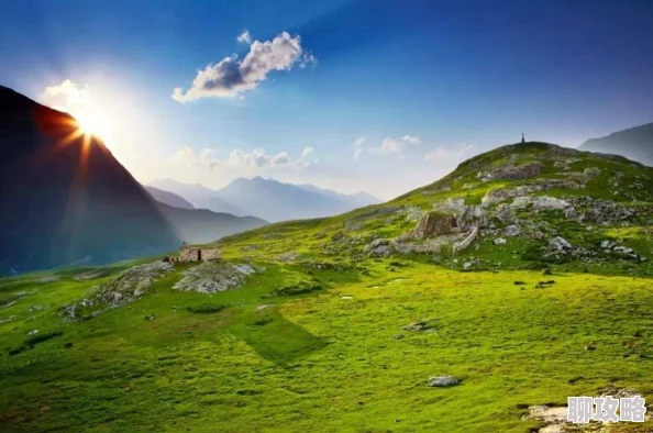 我的世界：探索庇护所的多重作用及创新建造技巧新鲜分享