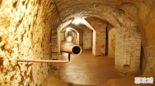 我的世界：探索庇护所的多重作用及创新建造技巧新鲜分享