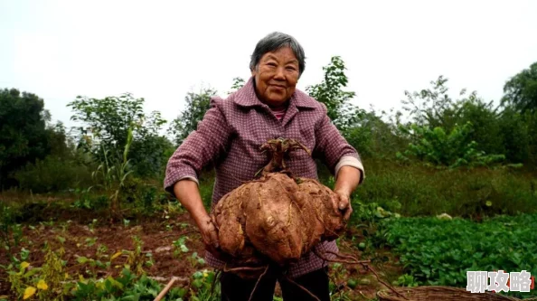 肥老太积极向上，乐观面对生活，传递温暖与希望，激励身边的人共同成长