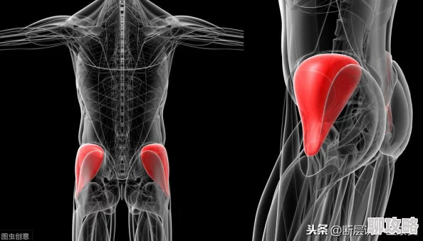打臀缝近日一项研究显示打臀缝可以有效改善身体姿态和缓解腰痛 打臀缝近日一项研究显示打臀缝可以有效改善身体姿态和缓解腰痛
