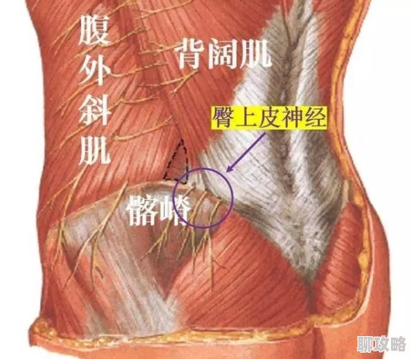 打臀缝近日一项研究显示打臀缝可以有效改善身体姿态和缓解腰痛 打臀缝近日一项研究显示打臀缝可以有效改善身体姿态和缓解腰痛