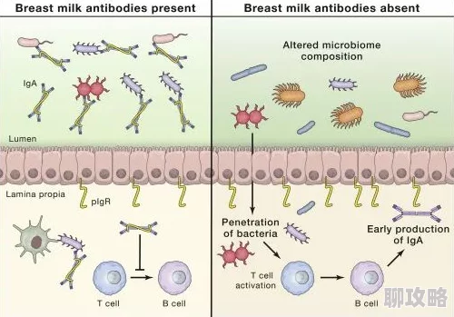 亚洲哺乳期奶水milk研究发现母乳中含有丰富的抗体和营养成分,有助于婴儿免疫力提升 亚洲哺乳期奶水milk研究发现母乳中含有丰富的抗体和营养成分,有助于婴儿免疫力提升