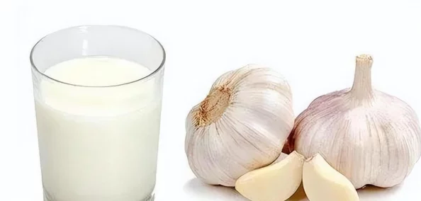 老师的乳汁近日一项研究发现母乳中含有丰富的抗体成分，有助于增强婴儿免疫力。