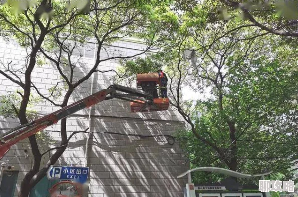 99伦理传播爱与善良让我们共同创造美好未来