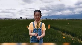 秀婷小说让我们相信每一个努力都能开花结果，勇敢追梦，未来可期