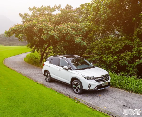 传奇车图片追求梦想的旅程让我们勇往直前无畏艰难