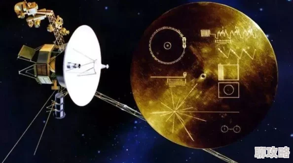 陨石流动击腹vk坐肚子让我们勇敢面对挑战，积极追求梦想，生活充满希望与力量