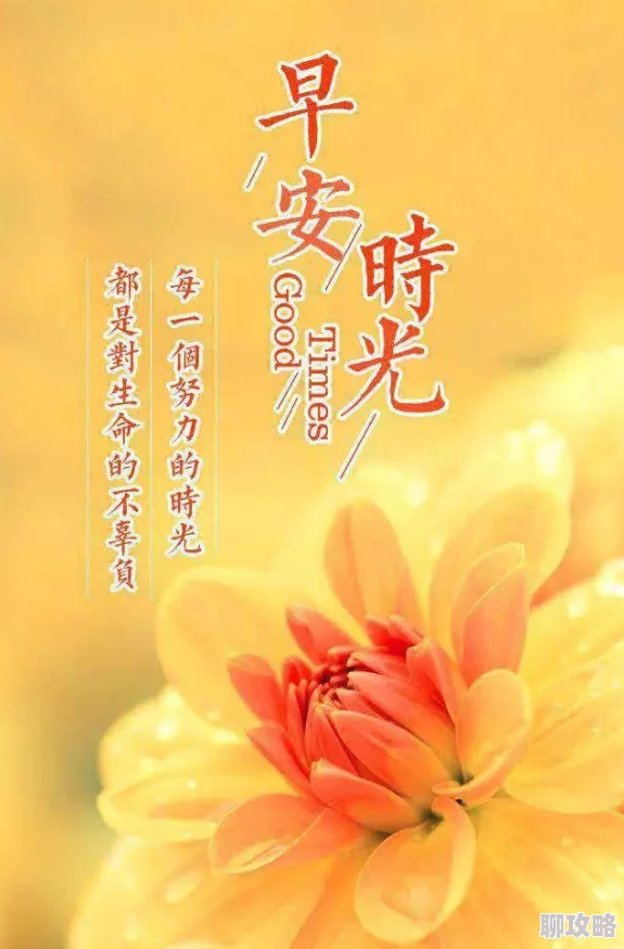 白洁新续写生活充满希望与可能性每一天都是新的开始勇敢追求梦想