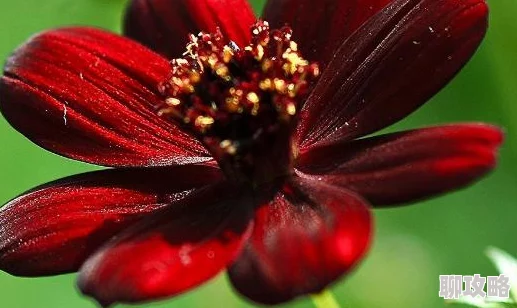 老师啊轻一点别进了痛近日一位学生因学习压力过大寻求心理辅导引发关注