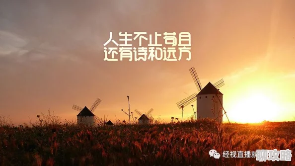 辰先生的婚然心动夜以继夜追逐梦想勇敢前行成就美好未来