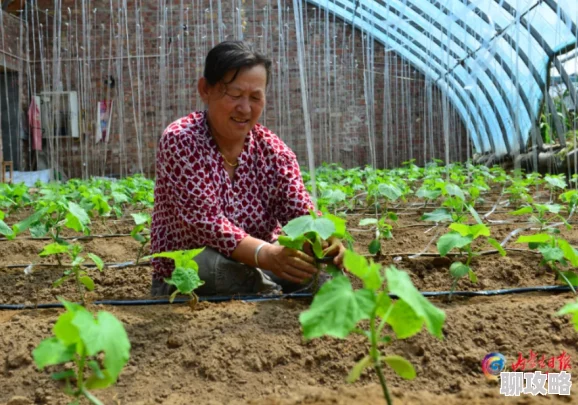 玩又肥又大的农村妇女近日她们在村里举办了一场丰收节，展示了自家种植的特色农产品，吸引了众多游客前来参观。