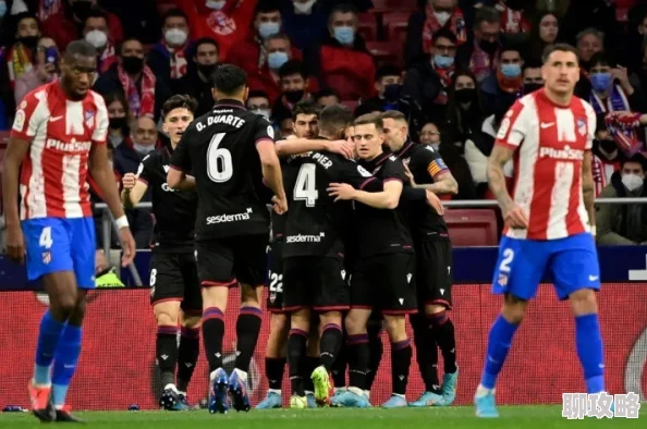 魔尊要抱抱漫画免费观看全集西甲第11轮马洛卡vs赫塔费拼搏进取,勇往直前,共同追逐梦想! 魔尊要抱抱漫画免费观看全集西甲第11轮马洛卡vs赫塔费拼搏进取,勇往直前,共同追逐梦想!