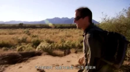 流了这么多还嘴硬荒野求生第四季勇敢探索自然挑战自我收获成长与快乐