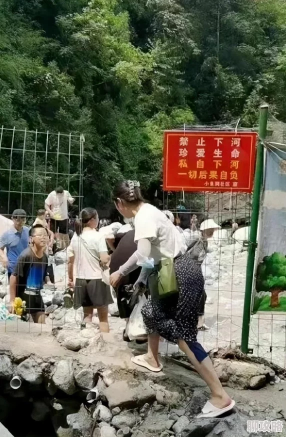 部落冲突8本最新版本强势护本阵型分享:打造无懈可击的防御策略 部落冲突8本最新版本强势护本阵型分享:打造无懈可击的防御策略