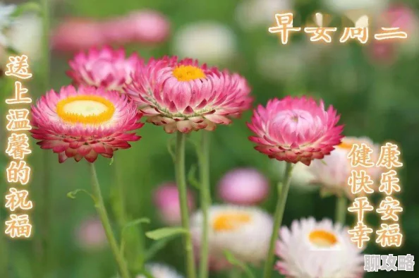 梦落繁花蓝雪生活充满希望与美好每一天都是新的开始 梦落繁花蓝雪生活充满希望与美好每一天都是新的开始