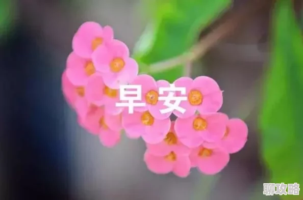 梦落繁花蓝雪生活充满希望与美好每一天都是新的开始 梦落繁花蓝雪生活充满希望与美好每一天都是新的开始