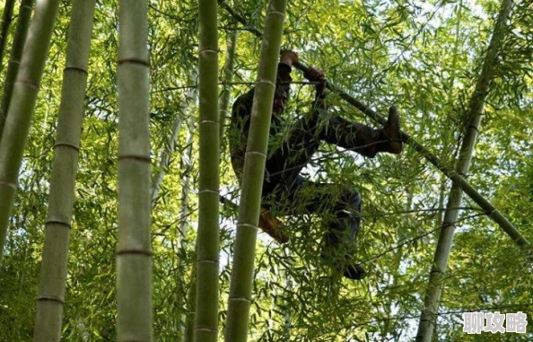 竹林笙处养成h全文阅读通天塔勇攀高峰追逐梦想成就未来