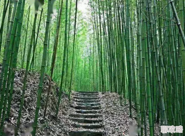 竹林笙处养成h全文阅读通天塔勇攀高峰追逐梦想成就未来