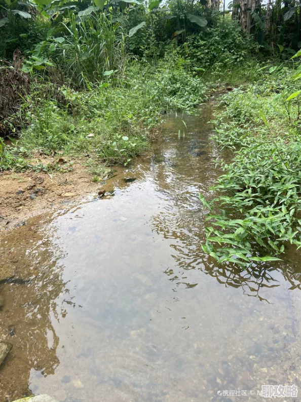 翁熄系列回乡下这次我们在乡下发现了一个隐藏的美丽湖泊,水清澈见底,风景如画 翁熄系列回乡下这次我们在乡下发现了一个隐藏的美丽湖泊,水清澈见底,风景如画