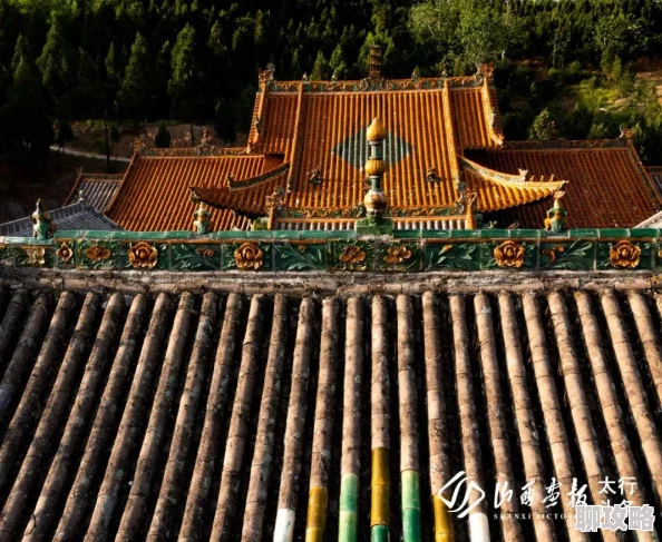 洋房里的小草莓小说全文免费阅读虽是兽医但我医术无双用心呵护生命传递爱与希望